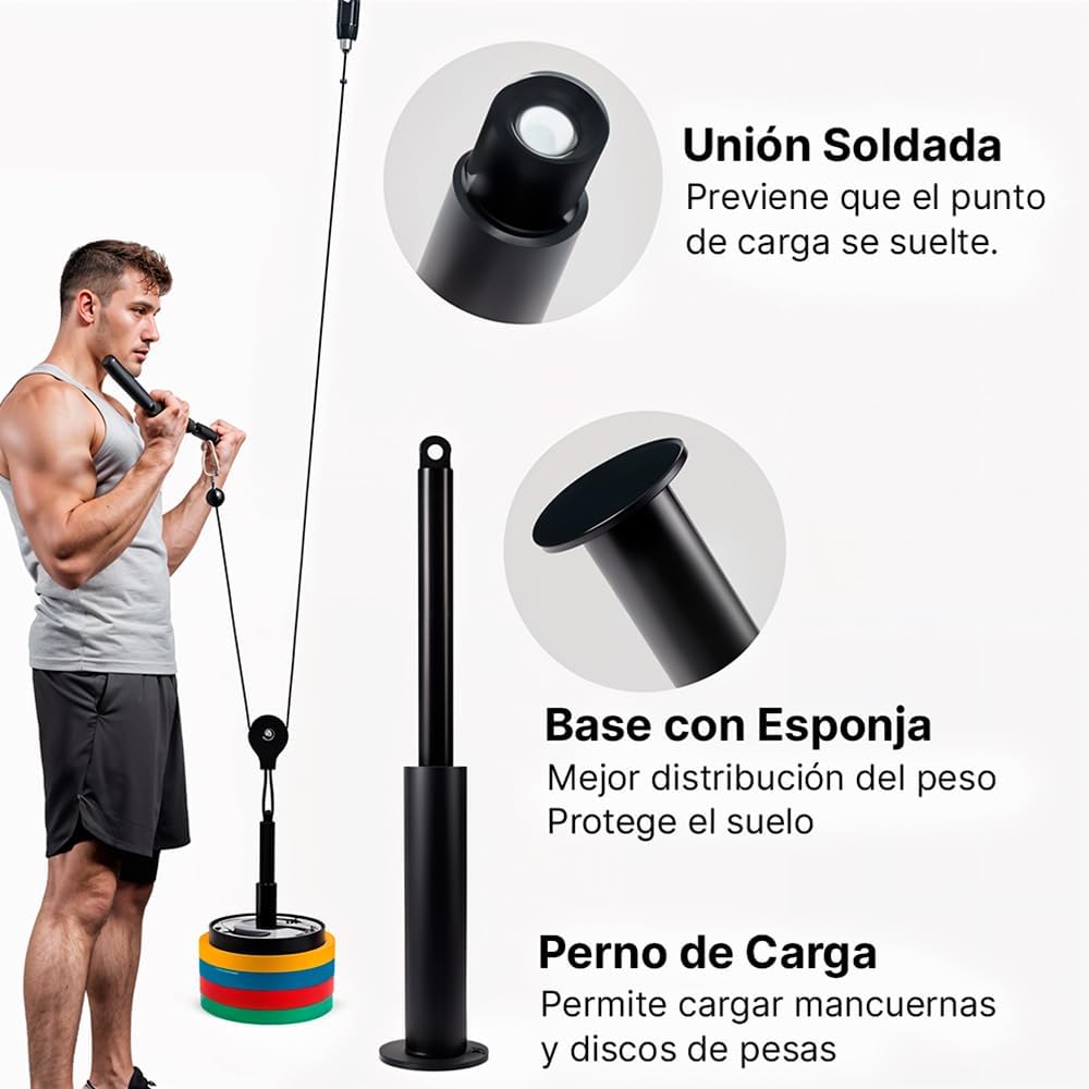 Smart Fit Ejercicios Con Pesas Para Principiantes Gimnasios
